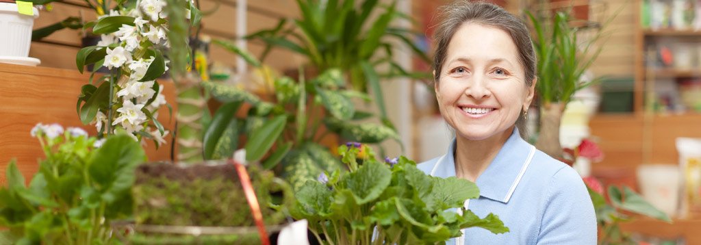 como decorar con plantas de interior